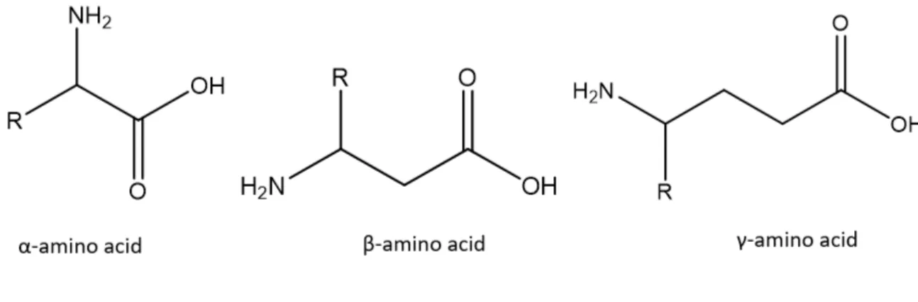 Figure 3 - Amino Acids Classification 