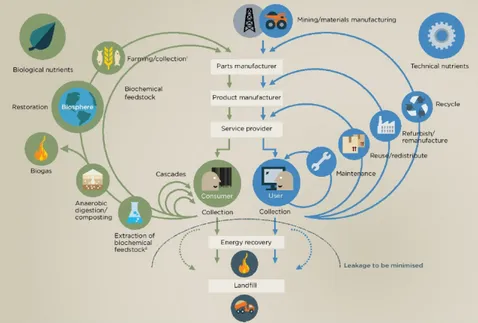 Figure 2. The butterfly diagram, Ellen McArthur Foundation circular economy system  design