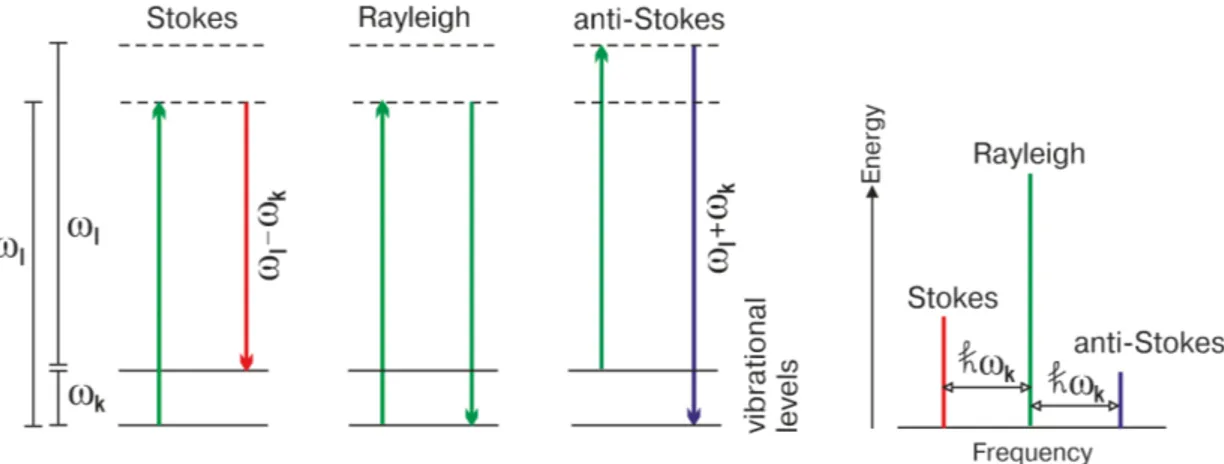Figure 1.1: Rayleigh scattering, Stokes scattering and anti-Stokes scattering.