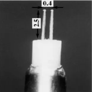 Figure 3.13: Particular of a cold wire: the wire is suspended between two stain prongs.