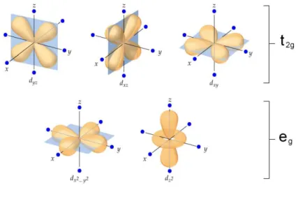 Fig. 1.2: Schematic representation of Cu d orbitals. Oxygen ligands are shown as  point charge in an octahedral configuration