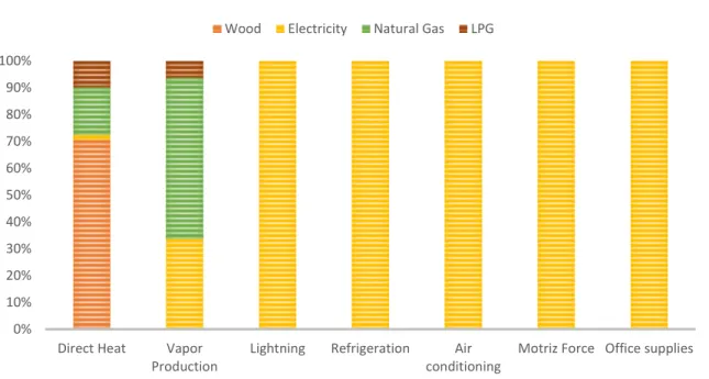 Figure 10 Share Final Energy Use - Residential
