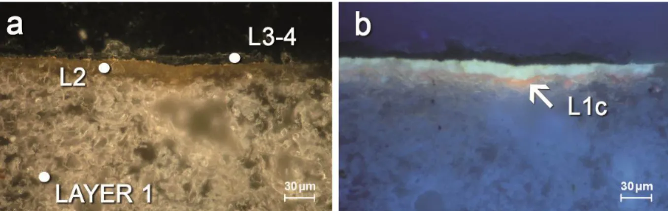 Fig. 18 ‐ a. polished cross‐section under reflected visible light showing the finishing mortar (Layer1), the yellow‐orange   