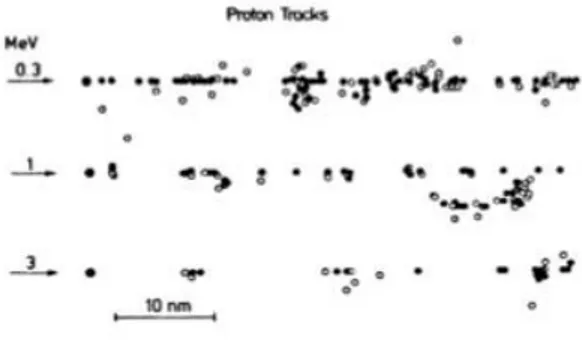 Fig. 1.9 Tracks produced by protons at different energies in water vapor, in case of Ionizations  (black dots) and Excitation (white dots)