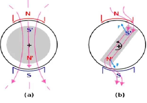 Fig. 1.1 Example of isotropic (a) and anisotropic (b) rotor structure. 
