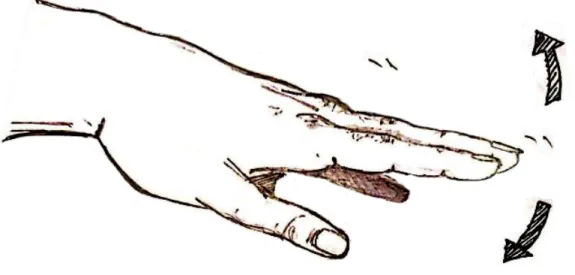 Figure 5: Sketch indicating the flexion and extension direction of the wrist 