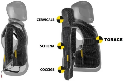 Figura 2.5: Zone protette dall’airbag per motociclisti 