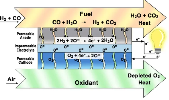 Figura 1.3 Schema di una cella combustibile ad ossidi solidi 