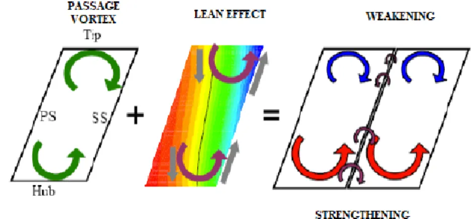 Figure 1.6: Lean effect on the distribution of the secondary flows.