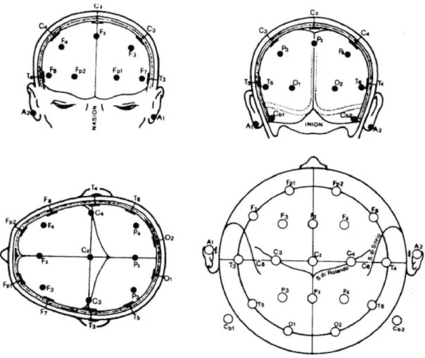 Fig. 4.6-  rappresentazione del sistema  di posizionamento  degli  elettrodi  standard 10-20 per la rilevazione  dell’attività elettrica cerebrale