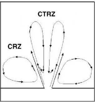 Figura 2.6 Schematizzazione di CTRZ e CRZ in un flusso ad alto numero di swirl 