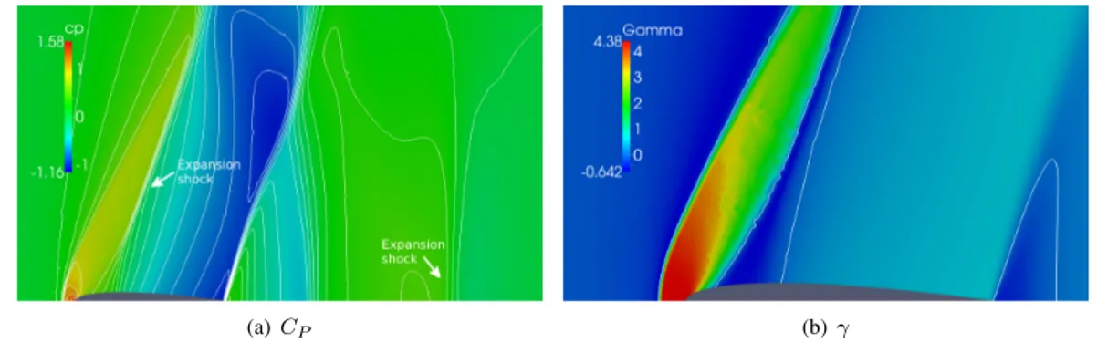 Figure 3.3: BZT phenomena, expansion shocks [66] over a NACA 0012 airfoil at null angle of attack.