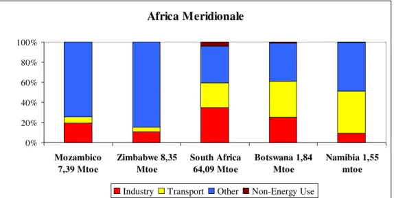Figura 3.12. TFC di energia primaria  per l’Africa meridionale. Dati 2008. Fonte: IEA