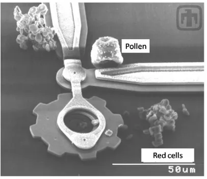 Figure 3: MEMS device along with pollen and red cells, in order to compare the dimensions[19]