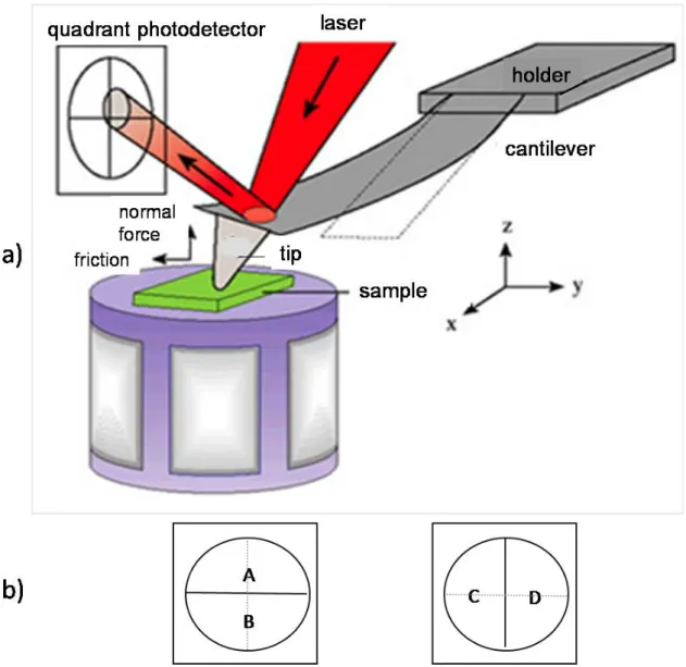 Figure 5: a) The basic concepts of an AFM working with the laser beam deflection method