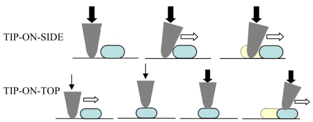 Figure 11: Schemes of NPs manipulation experiments. TIP-ON-SIDE, at loads larger than  manipulation threshold, the tip pushes the particle out of its way