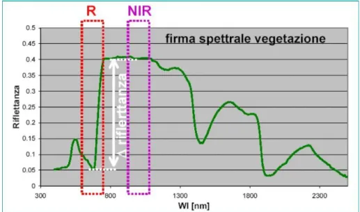 Figura 9.47  Differenza di riflettanza fra le bande del Red (R) e del NIR nella firma  spettrale delle vegetazione 