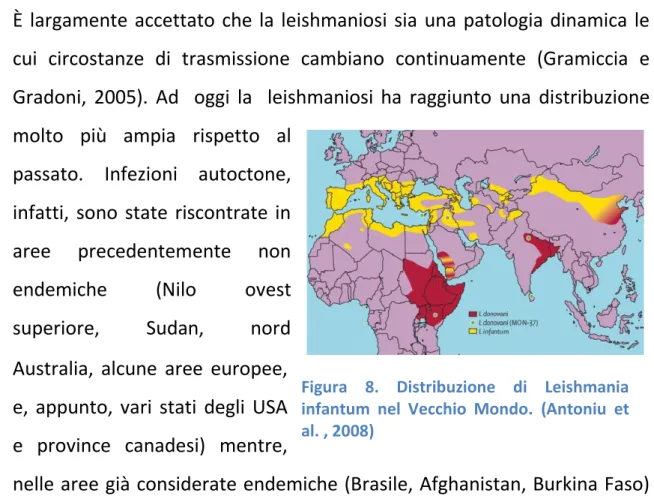 Figura  8.  Distribuzione  di  Leishmania  infantum  nel  Vecchio  Mondo.  (Antoniu  et  al