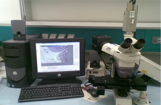 Figure 8: Laser capture microdissector