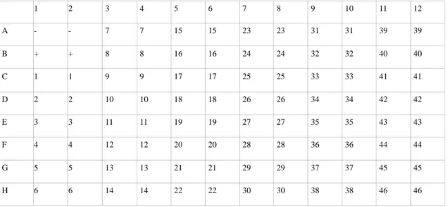 Figura 2: schema di distribuzione dei controlli e dei campioni (in doppio) 