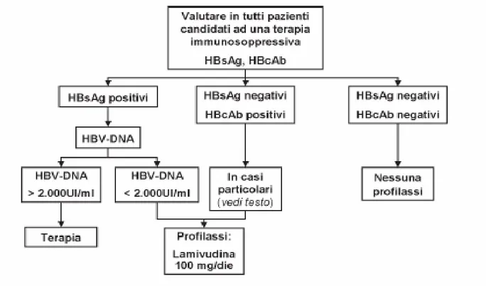 Fig  5    Infezione  da  HBV:  prevenzione  della  riattivazione/riacutizzazione  nel  paziente  candidato a  trattamento immunosoppressivo