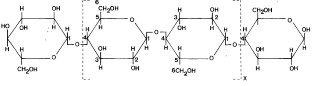 Fig. 1.1 – Formula di struttura della cellulosa 