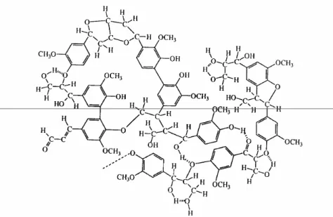Fig. 1.2 – Struttura chimica della lignina 