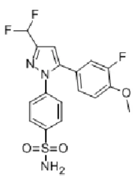 Fig. 12 Deracoxib (Deramaxx ® ) 