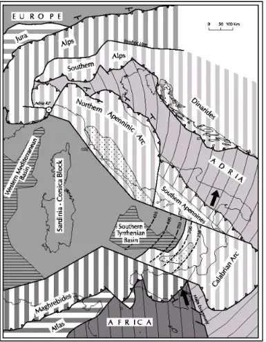 Figura 1.2: zone sismogenetiche in Italia (fonte: INGV). 