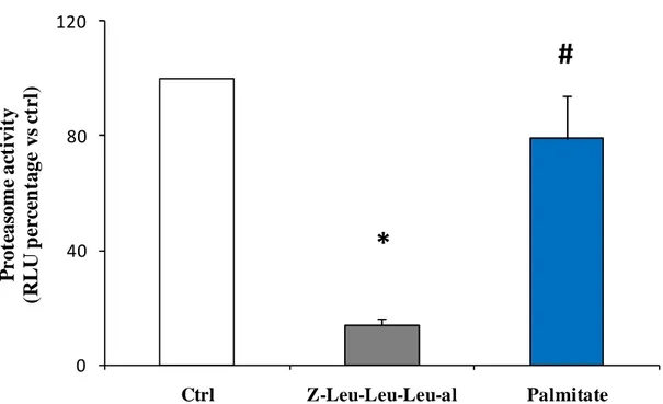 Figura 4a: Attività del proteasoma (tripsino-simile) in isole di controllo non trattate (Ctrl), isole esposte per 24hr a 10  µM Z-Leu-Leu-Leu-al (un inibitore dell’attività del proteasoma) e isole esposte per 24hr a 0.5 mM palmitato