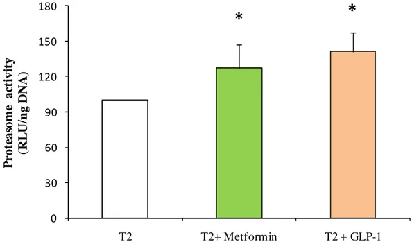Figura 5a: Attività del proteasoma (tripsino-simile) in isole isolate da donatori affetti da diabete tipo 2 non trattate (T2),  e isole diabetiche trattate per 24hr con 2.4 µ g/ml metformina o 10 nM GLP-1