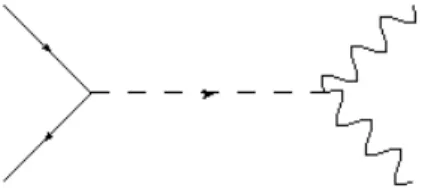 Fig. 3.5. Diagramma aggiuntivo per il processo Gluone Gluone in Fotone Fotone 