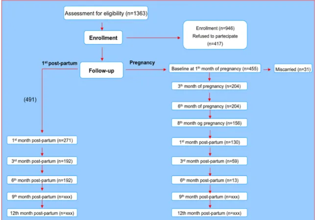 Figura 2. Flow chart delle partecipanti. 