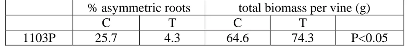 Tab. 10  - Performance of grafted cuttings in organic nursery  – 1 st  year; C = control, T = treated