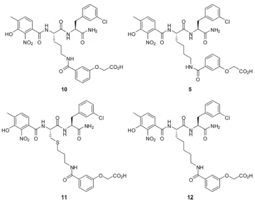 Figura 4:  I composti 10, 5, 11, e 12 sono costituiti da elementi SPACER diversi: L-ornitina,  L-lisina,  S-propil-L-cisteina,  e  L-α-omolisina, rispettivamente