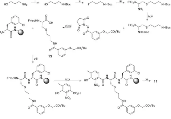 Figura 5:  Sintesi del composto 11. Reagenti e condizioni: (i) Boc 2 O, Et 3 N, DCM riflusso, per  una  notte;  (ii)  I2,  PPh 3 ,  1H-imidazolo,  DCM,  rt,  3,5  h;  (iii)  Cs 2 CO 3 ,  DMF,  metilestere  dell’idrocloride  L-cisteina,  rt,  per  una  nott