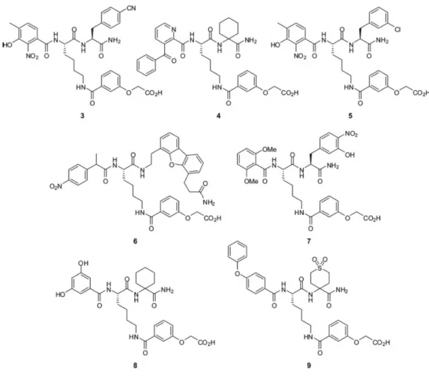 Figura 3:  Strutture dei composti identificati dal saggio ADCS bead screen . 