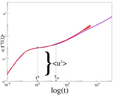 Fig. 1.5: The mean square displacement dependence on temperature with indication of t ∗ and τ α 