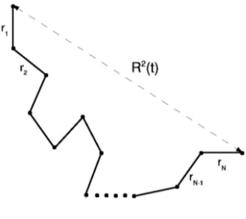 Fig. 2.7: Ideal polymer chain. r i are the Kuhn segments, &lt; r 1 2 &gt;=&lt; r 2 2 &gt;= 