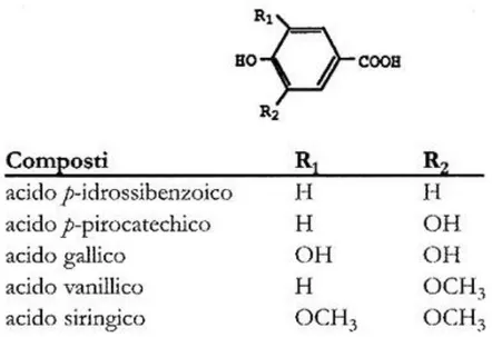 Figura 4 - Struttura chimica degli acidi idrossibenzoici (dal sito www.darapri.it) 