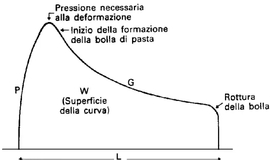 Figura 8 - Esempio di diagramma ottenuto dall’alveografo: P = tenacità della pasta; G = attitudine  al gonfiamento; W = valore panificatorio o forza; P/L = forma della curva (Bonciarelli F