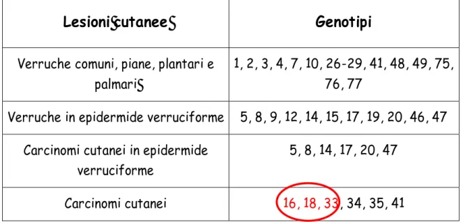 Tabella 2: Associazione tra lesioni cutanee e genotipi di HPV 