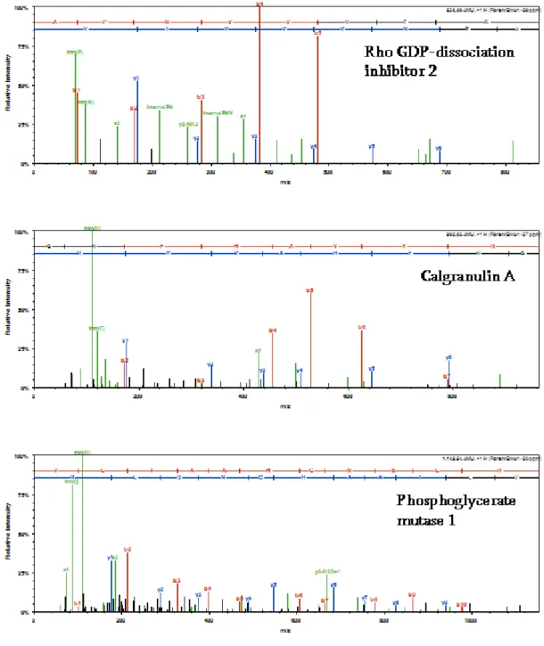 Figure  3 Figure  3Figure  3