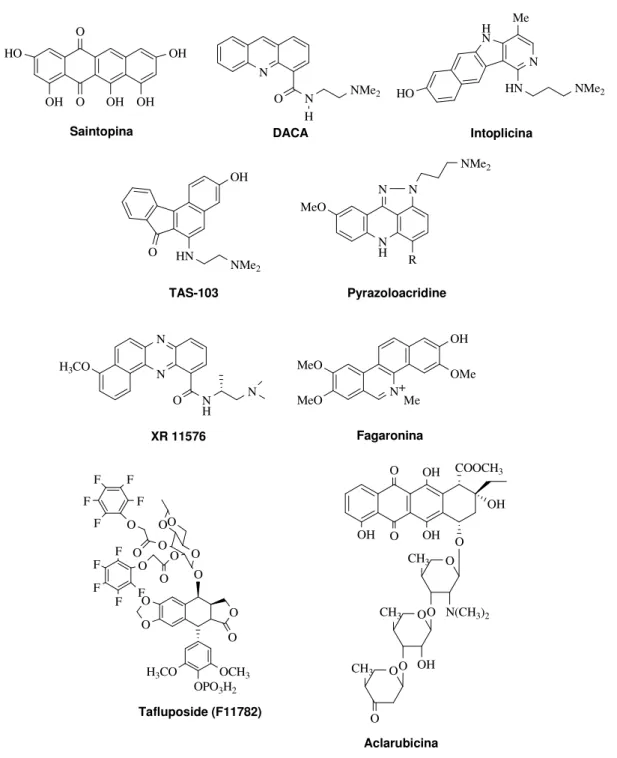 Figura 10. Inibitori duali delle topoisomerasi. 