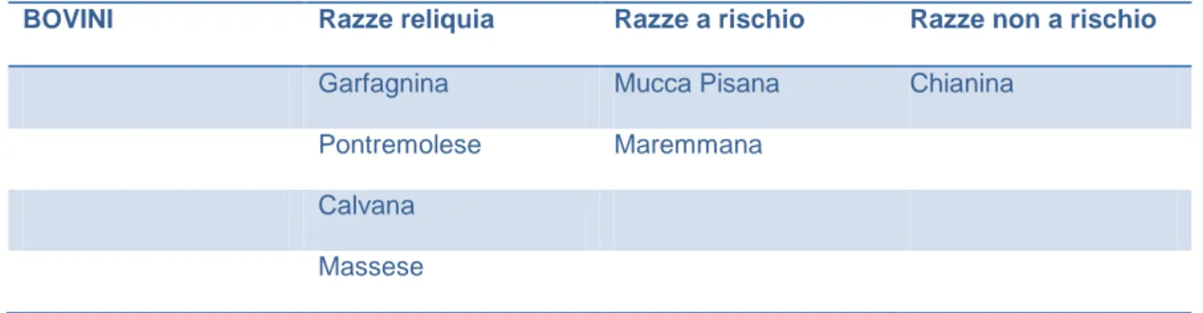 Tabella 1- Classificazione razze bovine toscane secondo la FAO 