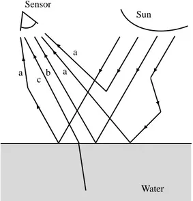 Figure 2: Contributions to the remotely sensed signal. (a) Light scattered by atmosphere