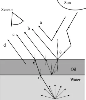 Figure 11: Contributions to radiance measured above an oil covered sea water surface. (a)  Atmospheric path radiance