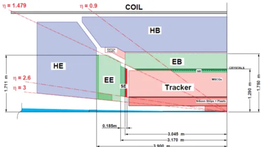 Figura 2.13: Vista di un quadrante del sistema calorimetrico e del barrel.