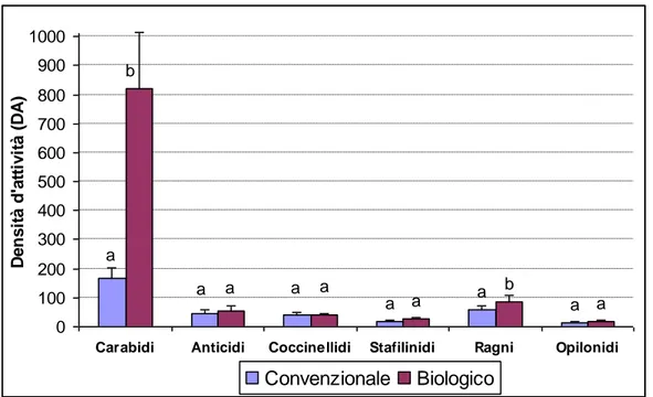 Figura 17. Totale catture su Mais. ANOVA a 1 via completamente randomizzata; Test LSD P≥0,01.