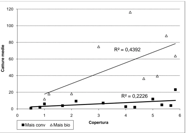 Figura 44. Coleotteri Carabidi: correlazione fra catture medie e copertura vegetale su mais